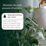 House Plant Compost With 9 Months Feed  7