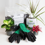 Best Start Indoor Plant Care Bundle - 2L Houseplant Compost, Gloves & Empathy After Plant Pump & Feed  1