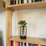 Hydroponic Indoor Plant in Turino Glass Vase with LED Light  2