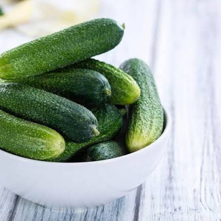 Cucumber Plant  5