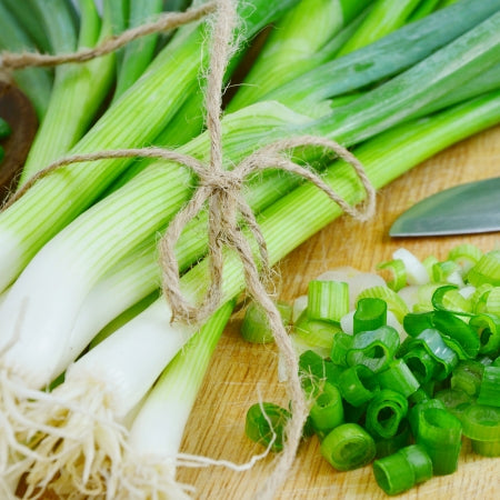 Salad Onion Vegetable Plants  2