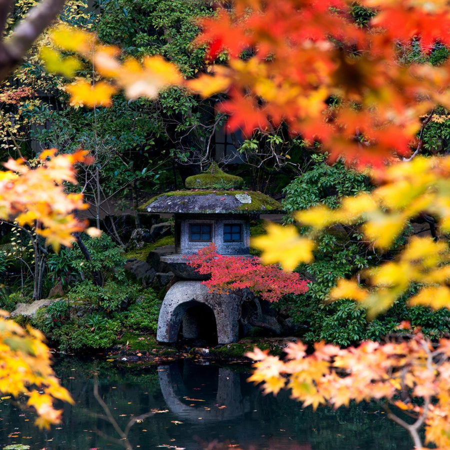 japanese garden plants