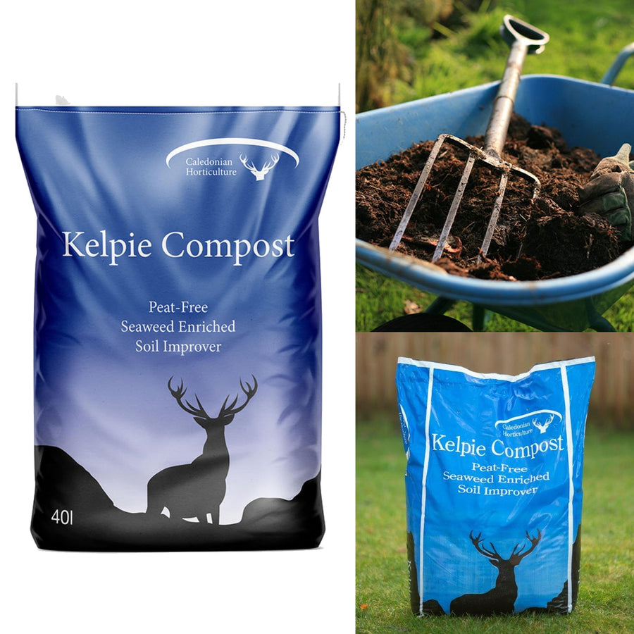 'Kelpie Compost' Peat Free Seaweed Enriched Compost (40L Bag) kelpiecompostedit 2