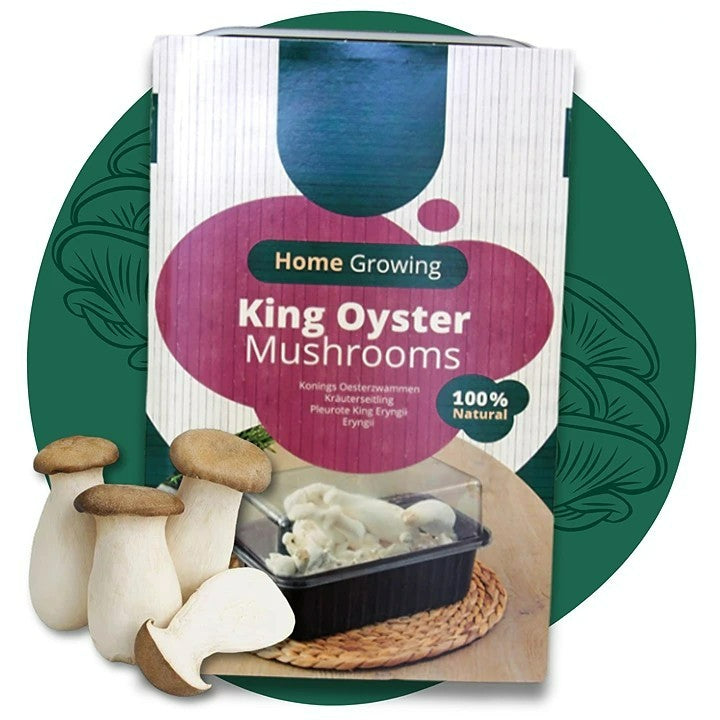 Mushroom Growing Kit  11