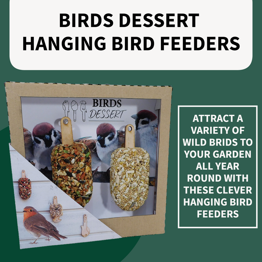 Birds Dessert Ice Lolly Hanging Bird Feeders listing2 2