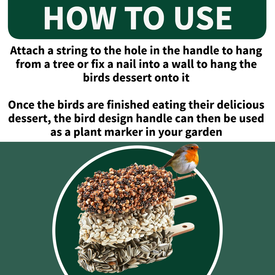Birds Dessert Ice Lolly Hanging Bird Feeders listing3 3