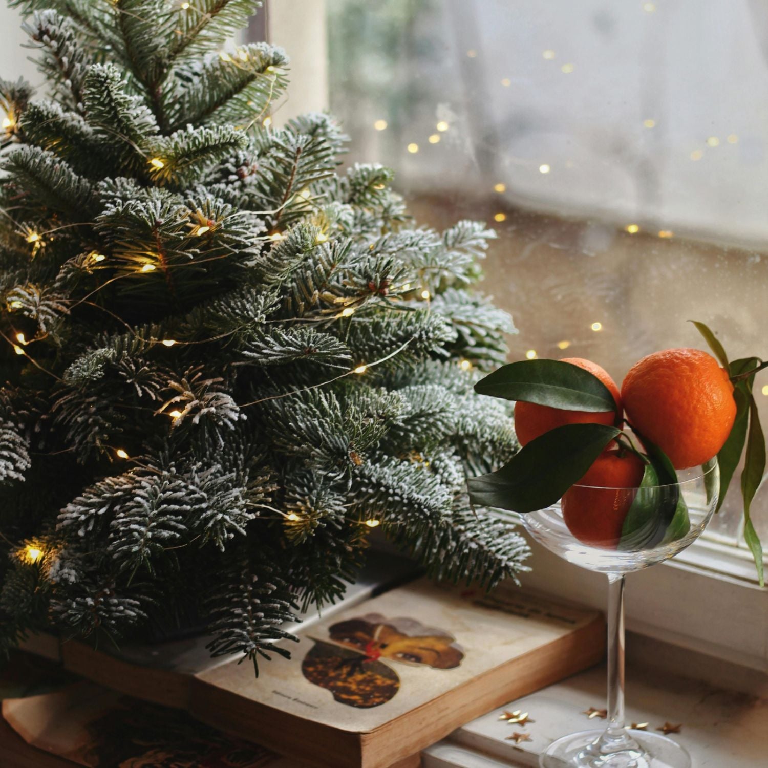 mini christmas trees