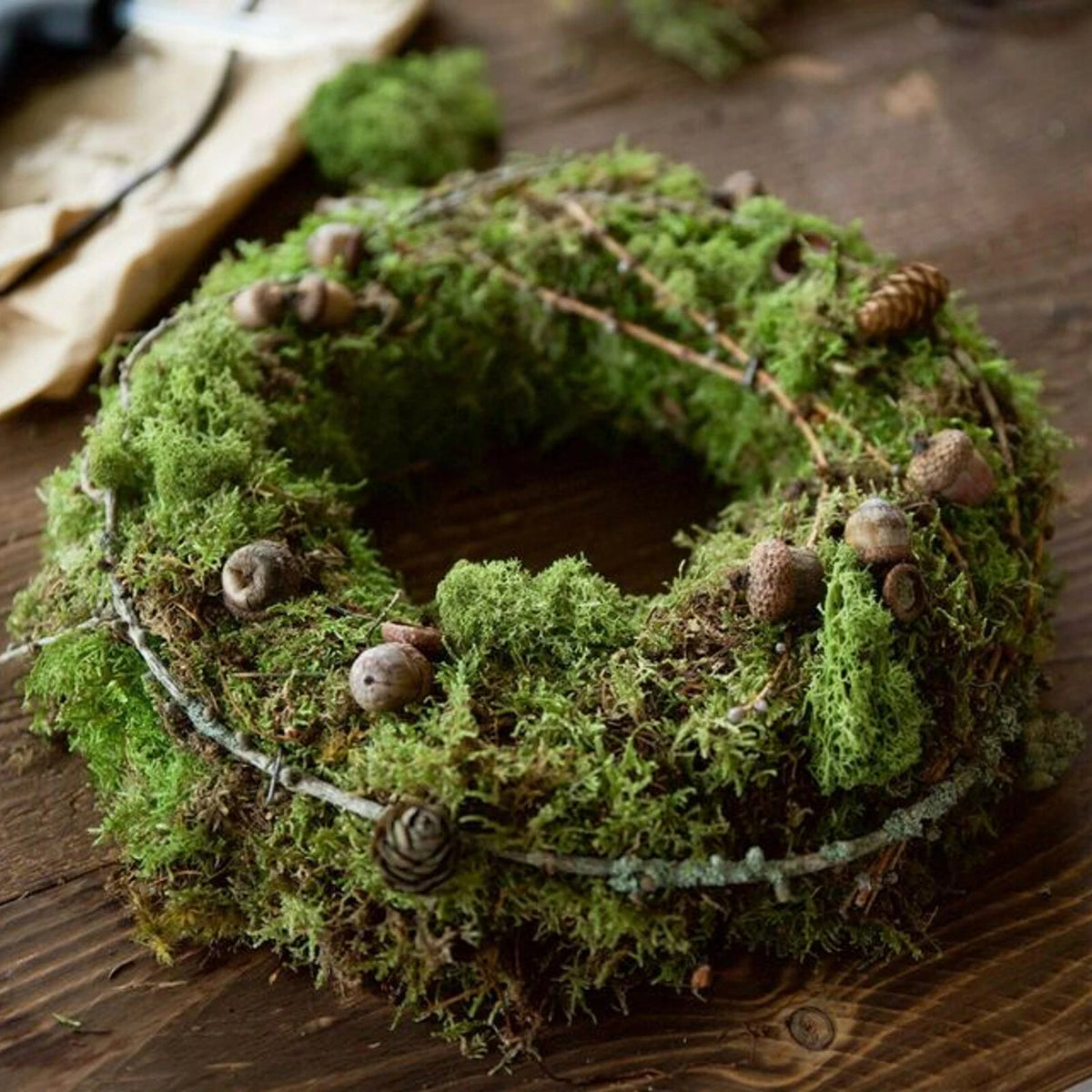 Fresh Natural Sphagnum Moss  5