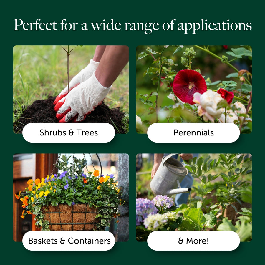 Multi Purpose Compost With 9 Months Feed - Water Less Formula  5