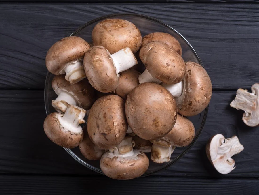 Mushroom Dome Growing Kit  5