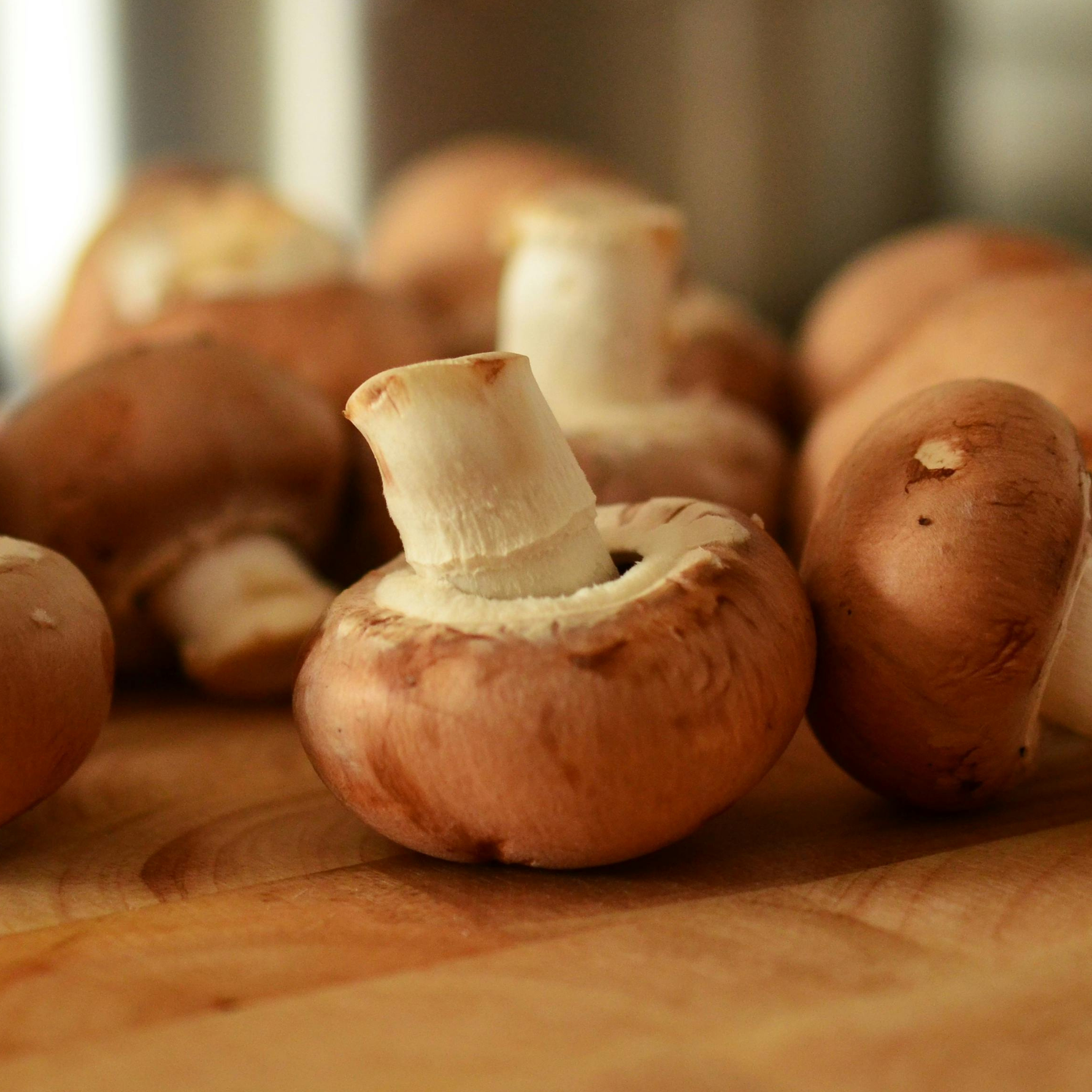grow your own mushrooms