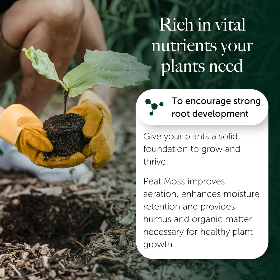 Irish Moss Peat Soil Improver - With 12 With Vital Nutrients For Plants  4