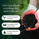 Irish Moss Peat Soil Improver - With 12 With Vital Nutrients For Plants  6