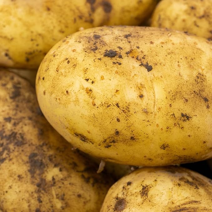 Seed Potatoes  7