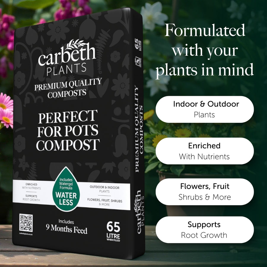 Perfect For Pots Compost With 9 Months Feed - Water Less Formula  4