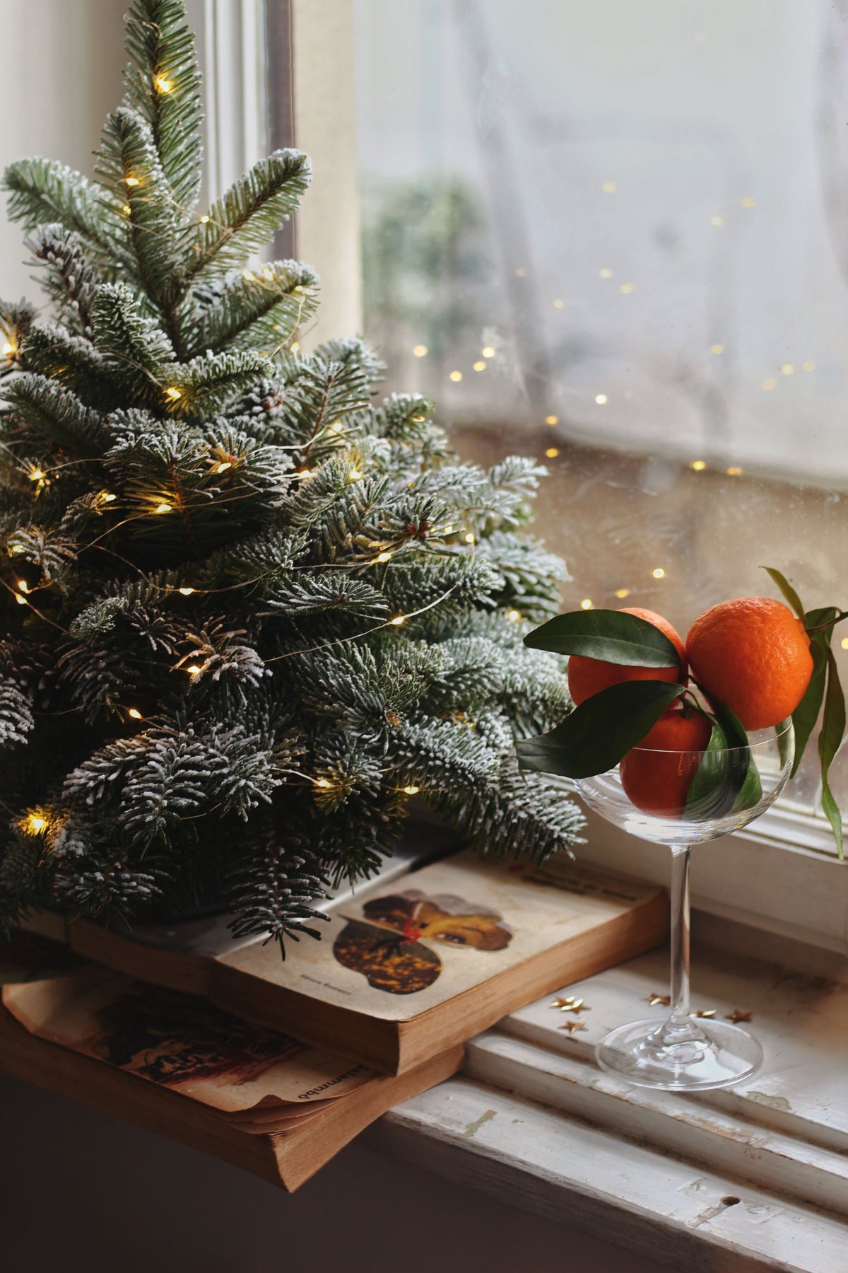 Mini Christmas Trees