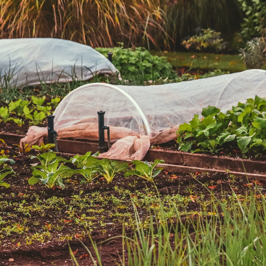 netting & protection