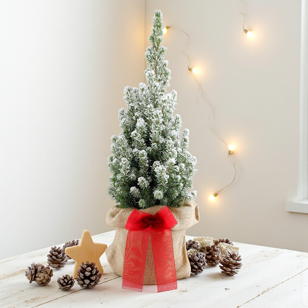 Picea Glauca Perfecta Mini Christmas Tree Gift Wrap  1