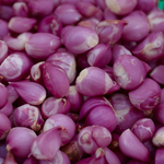 Pink Panther Onion Set  4