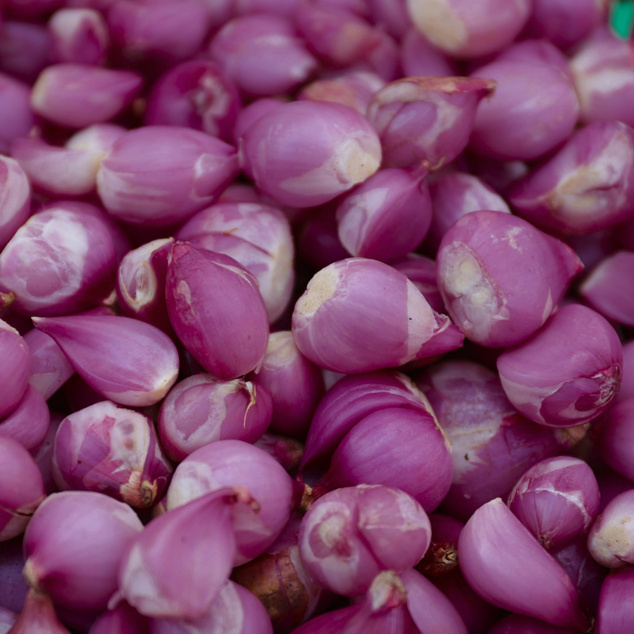 Pink Panther Onion Set  4