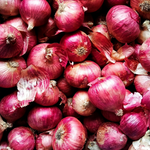 Pink Panther Onion Set  1