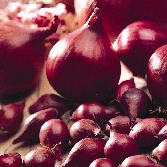 Red Onion Mixed Sets  3