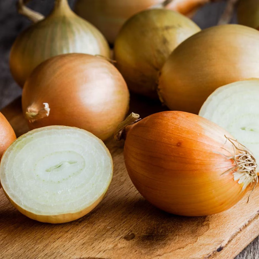 Winter Onion Set Mix  2
