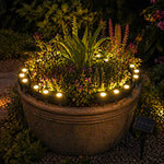 Solar Flower Warm White LED Pot Lights  1