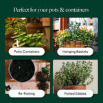 Perfect For Pots Compost With 9 Months Feed - Water Less Formula  6
