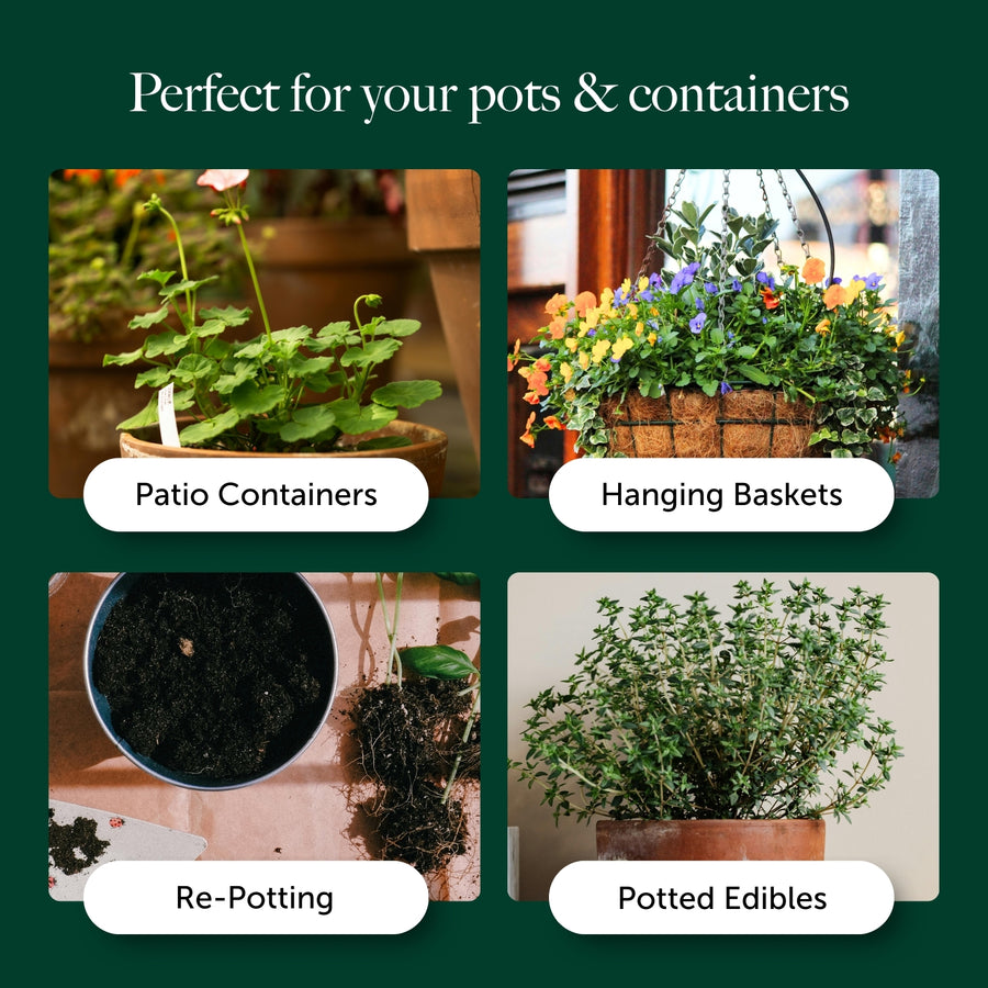 Perfect For Pots Compost With 9 Months Feed - Water Less Formula  6