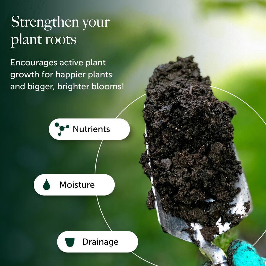 Perfect For Pots Compost With 9 Months Feed - Water Less Formula  3