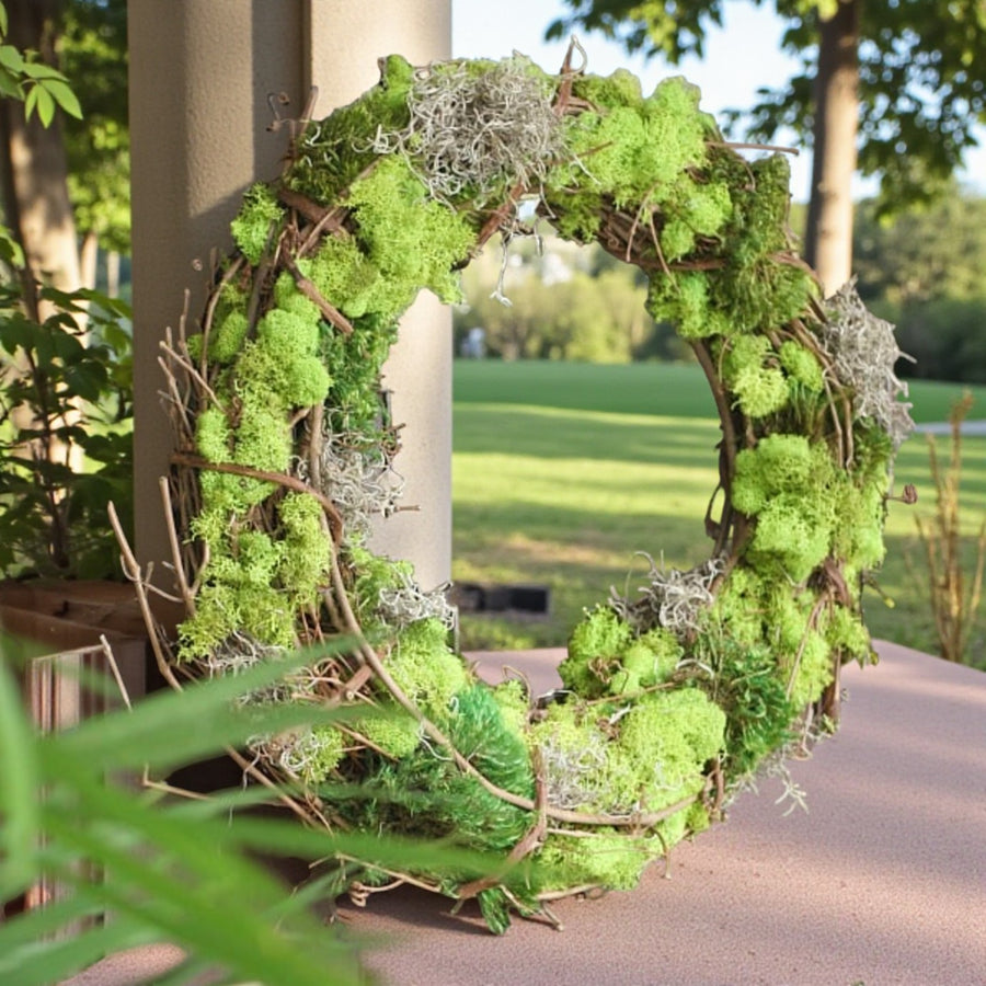 Reindeer Moss  1