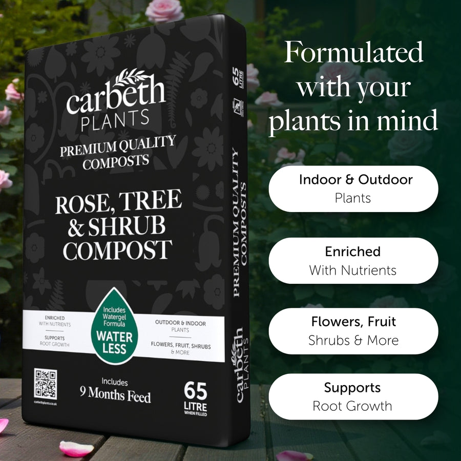 Rose, Tree & Shrub Compost With 9 months Feed - Water Less Formula  2