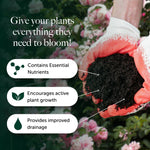 Rose, Tree & Shrub Compost With 9 months Feed - Water Less Formula  3