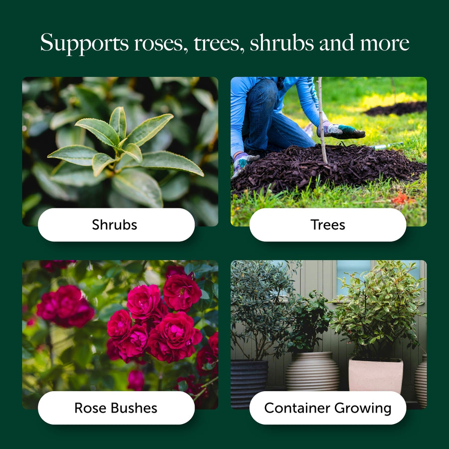 Rose, Tree & Shrub Compost With 9 months Feed - Water Less Formula  4