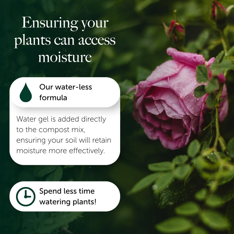 Rose, Tree & Shrub Compost With 9 months Feed - Water Less Formula  5