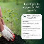 Rose, Tree & Shrub Compost With 9 months Feed - Water Less Formula  6