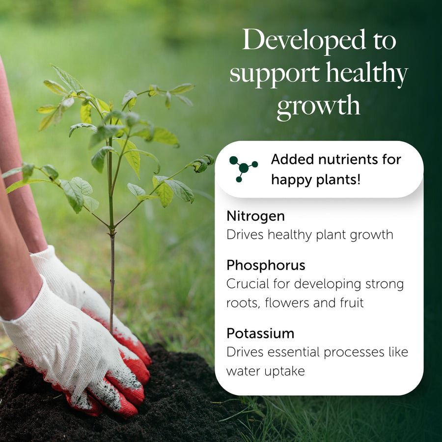 Rose, Tree & Shrub Compost With 9 months Feed - Water Less Formula  6