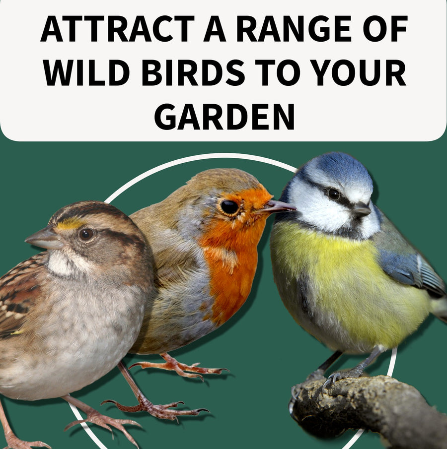Birds Dessert Ice Lolly Hanging Bird Feeders s-l1600 4