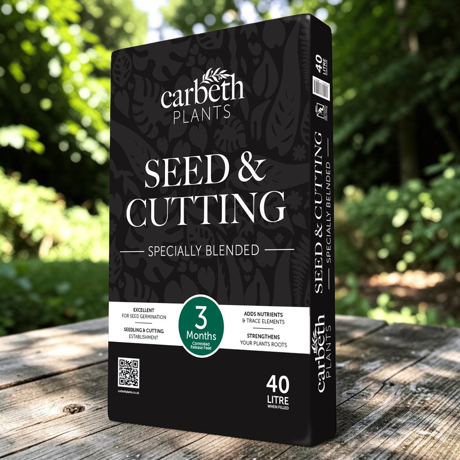 Seed & Cutting Compost - Ideal Start For Seedlings & Cuttings  2