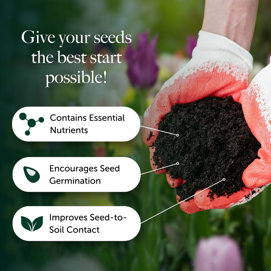 Seed & Cutting Compost - Ideal Start For Seedlings & Cuttings  3