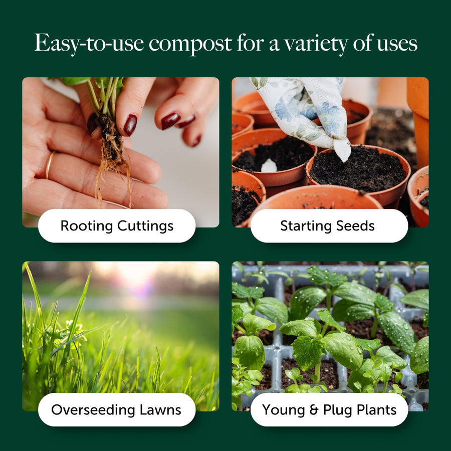 Seed & Cutting Compost - Ideal Start For Seedlings & Cuttings  6