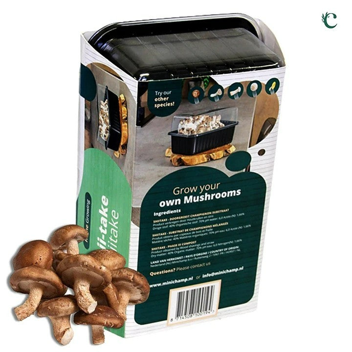 Mushroom Growing Kit Shiitake shiitake product back 2