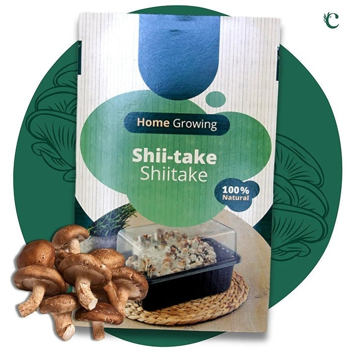Mushroom Growing Kit Shiitake shiitake product front graphic 1