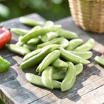 Sugar Snap Pea  3