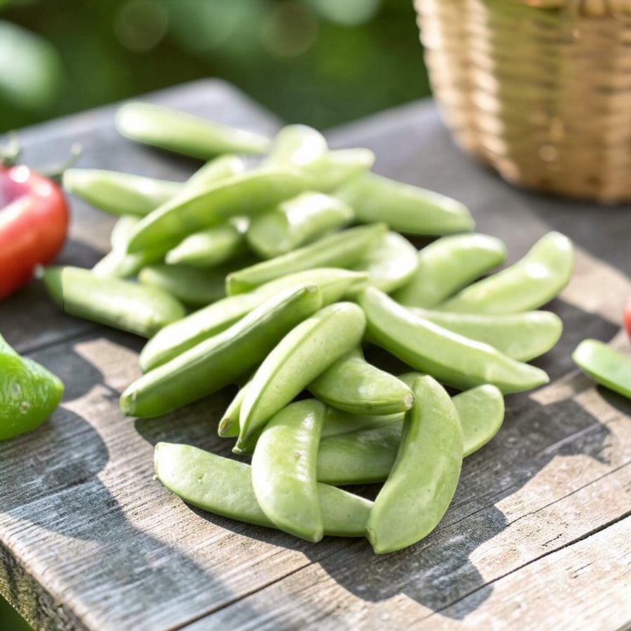 Sugar Snap Pea  3