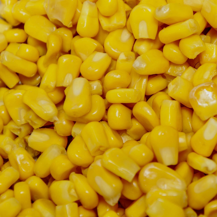Sweetcorn Plant  3