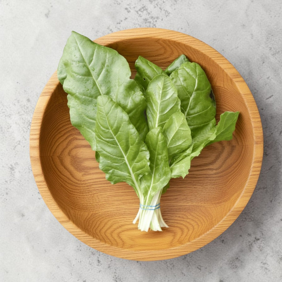 Swiss Chard Plant  2
