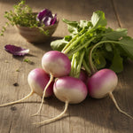 Turnip Plant  4