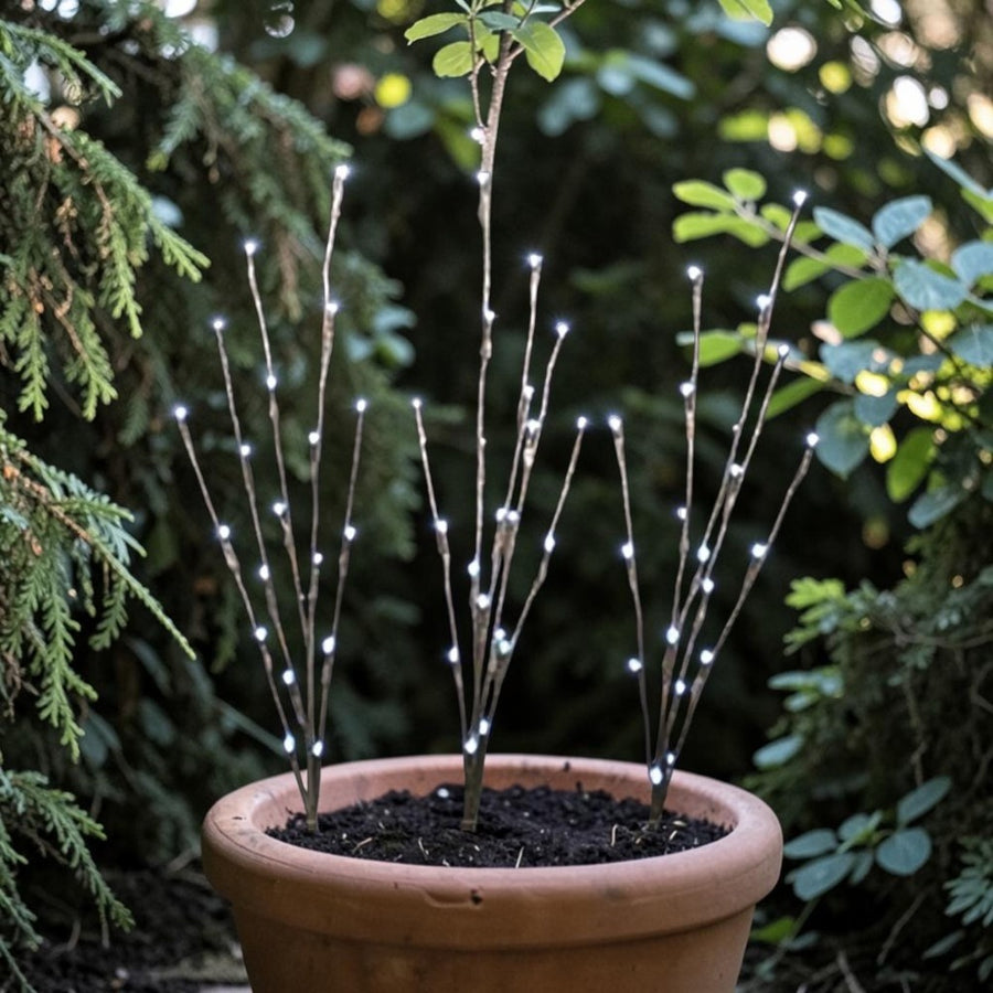 3 Twig Pathway White Lights  3